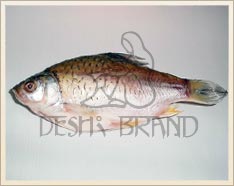 Frozen Puti Fish