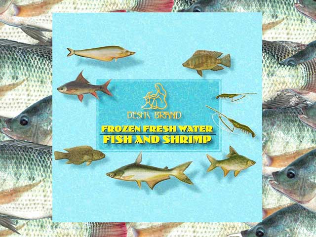 Welcome to DESHI BRAND Website